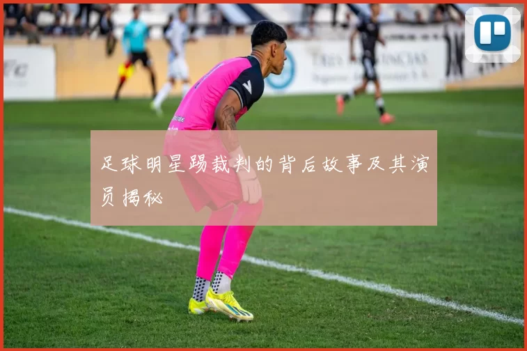 足球明星踢裁判的背后故事及其演员揭秘