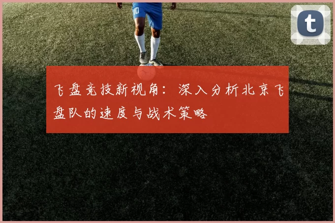 飞盘竞技新视角：深入分析北京飞盘队的速度与战术策略