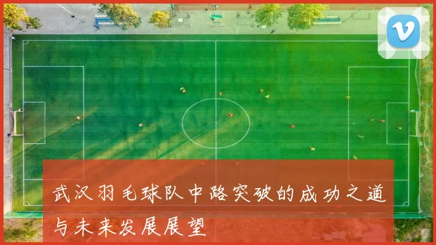 武汉羽毛球队中路突破的成功之道与未来发展展望