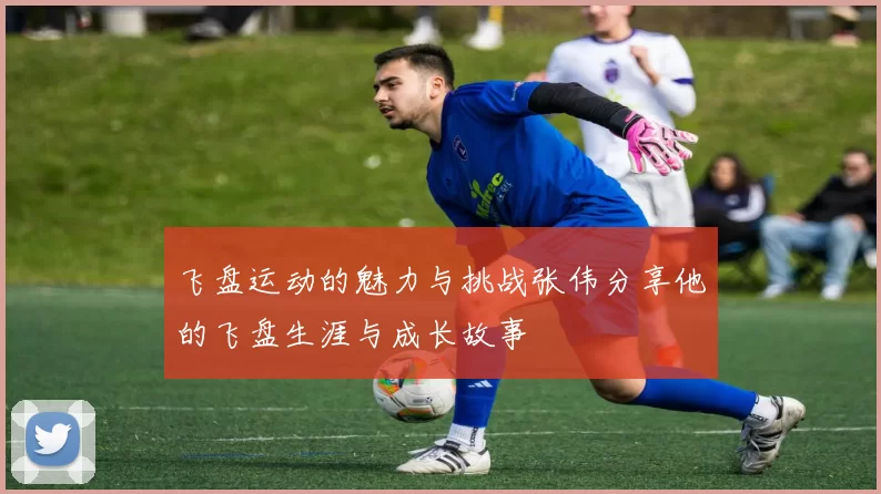 飞盘运动的魅力与挑战张伟分享他的飞盘生涯与成长故事