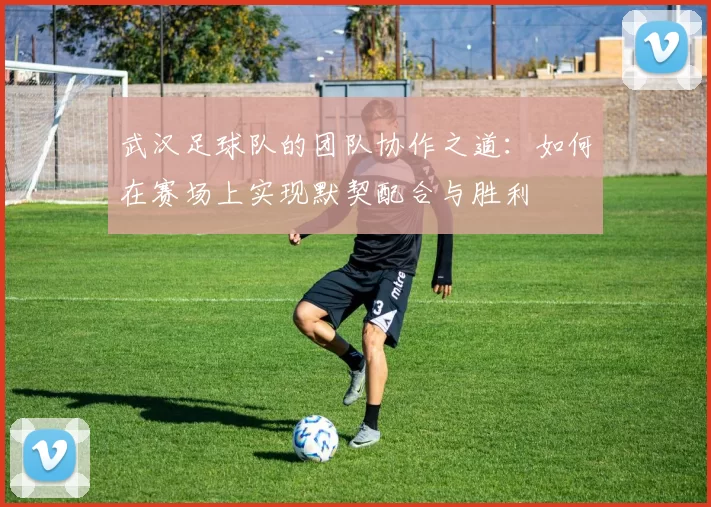 武汉足球队的团队协作之道：如何在赛场上实现默契配合与胜利