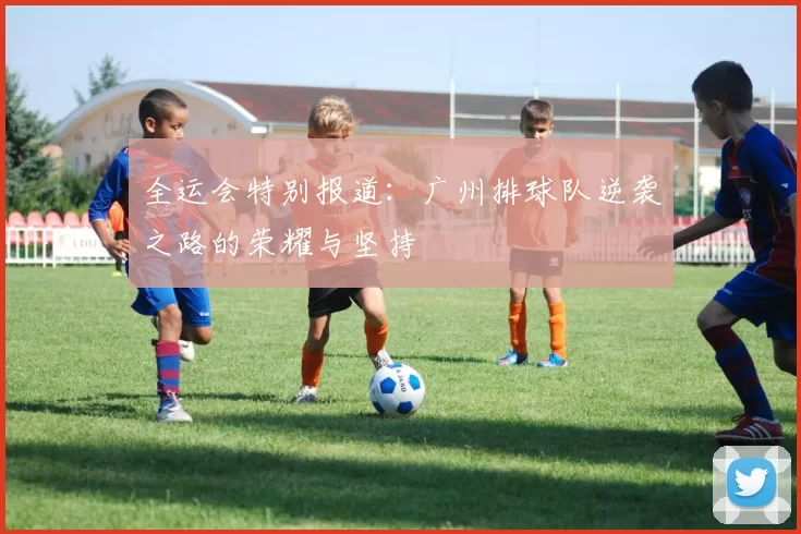 全运会特别报道：广州排球队逆袭之路的荣耀与坚持