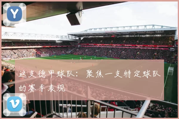 这支德甲球队：聚焦一支特定球队的赛季表现