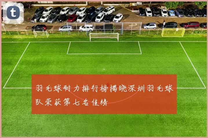 羽毛球耐力排行榜揭晓深圳羽毛球队荣获第七名佳绩
