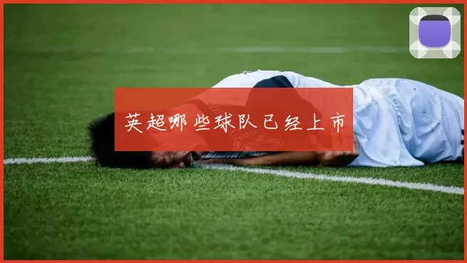 英超哪些球队已经上市
