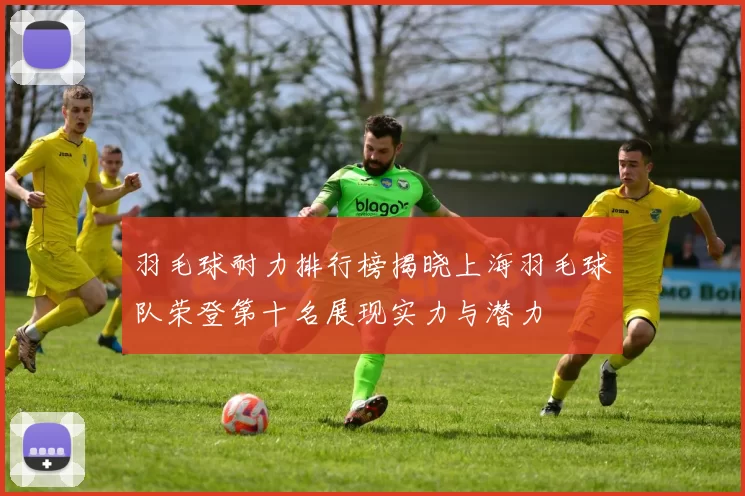 羽毛球耐力排行榜揭晓上海羽毛球队荣登第十名展现实力与潜力