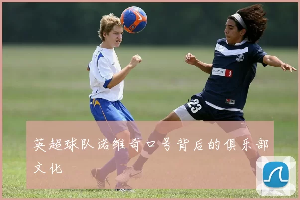英超球队诺维奇口号背后的俱乐部文化